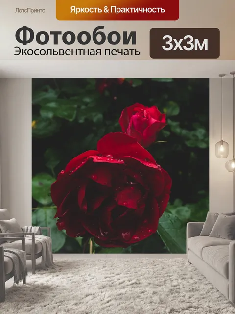 Фотообои Розовый