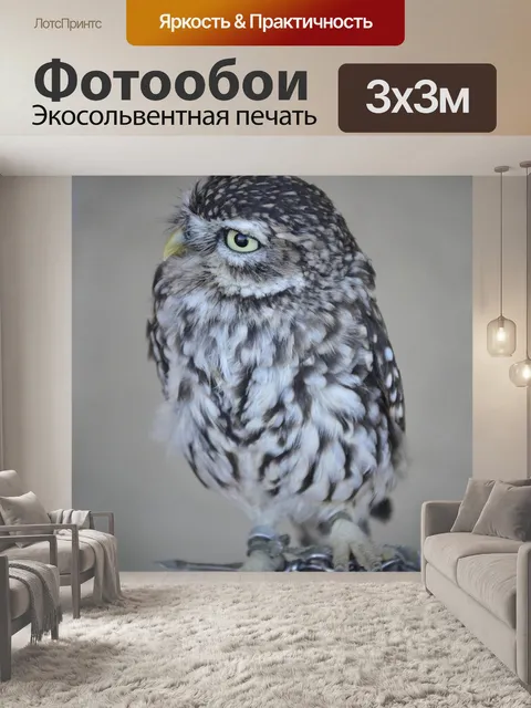 Фотообои Карлик ооо