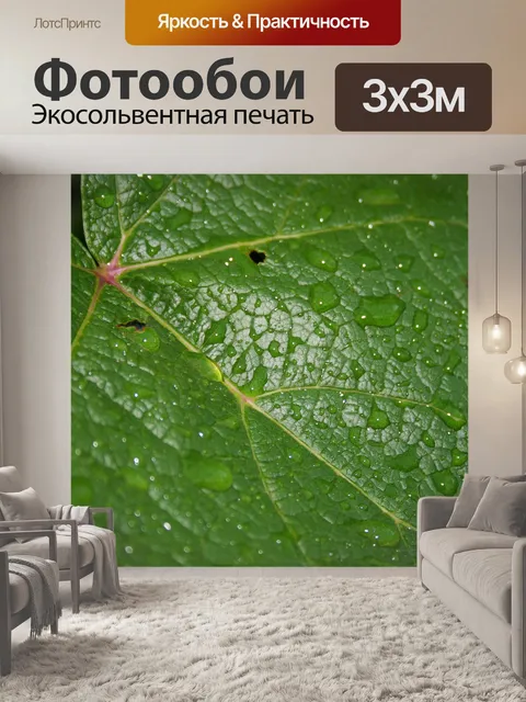 Фотообои лист с каплями