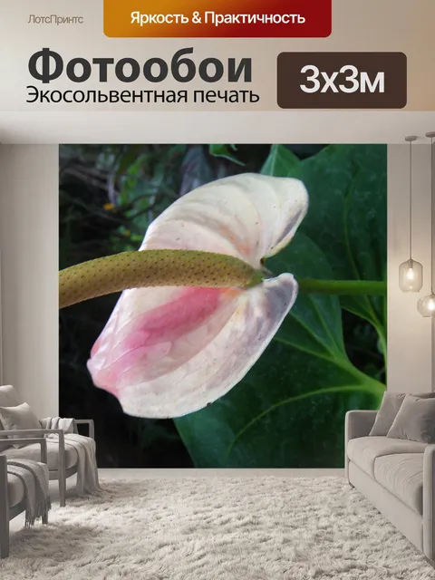 Фотообои светло-розовые каллы
