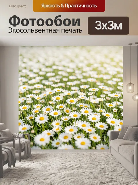 Фотообои Поле ромашек в солнечном свете