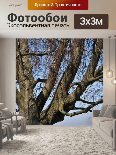 Фотообои Релаксация