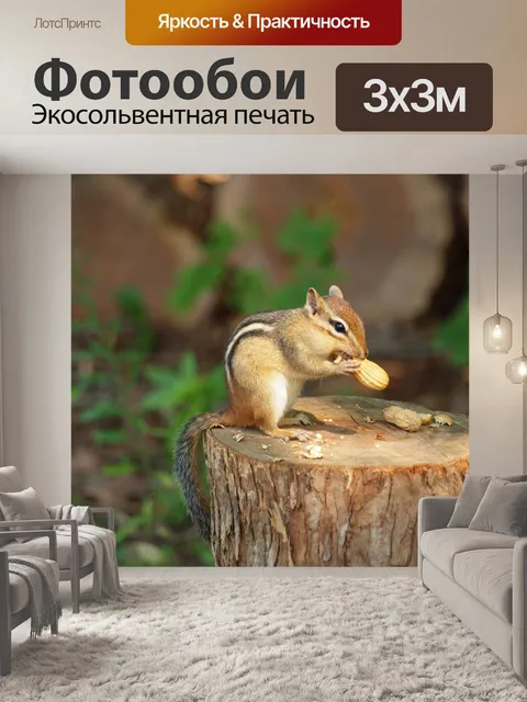 Фотообои Бурундук, употребляющий арахис