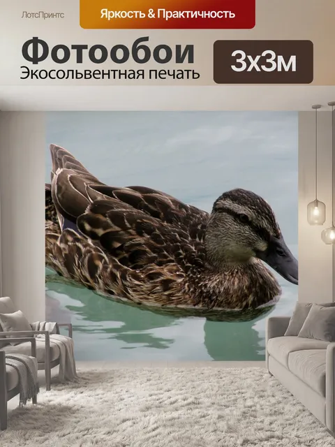 Фотообои Утка