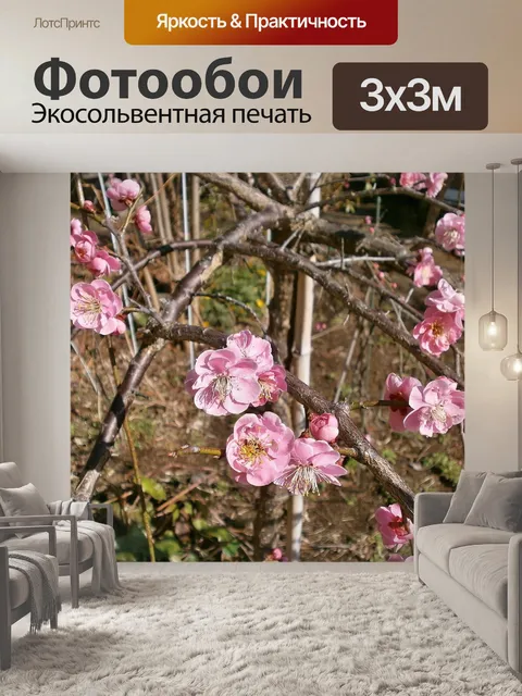 Фотообои Слива