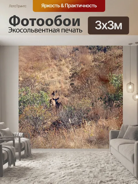 Фотообои далекие коровы куду в южной африке