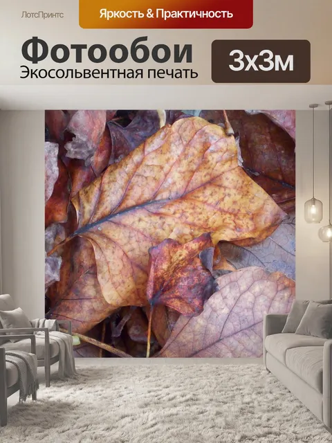 Фотообои Опавшие листья фона