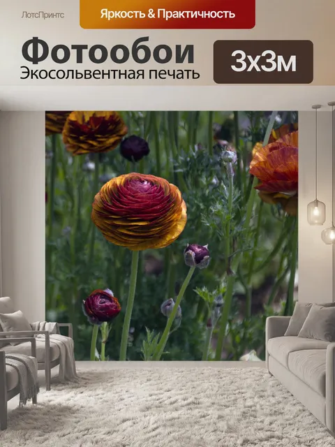 Фотообои Коричневые цветы лютика