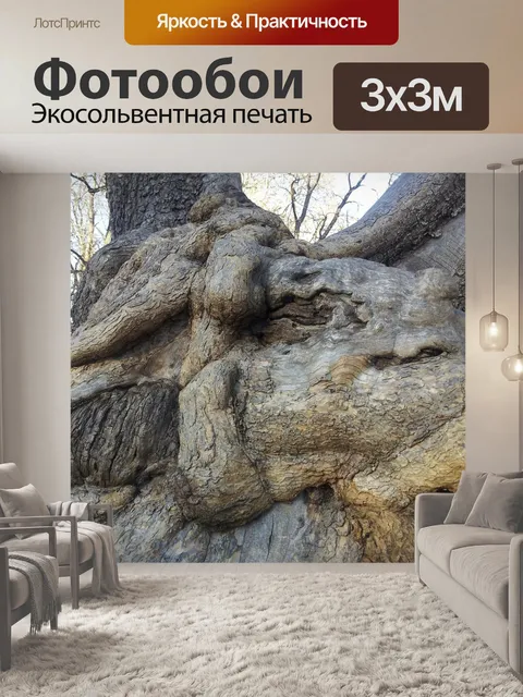 Фотообои Старый лес
