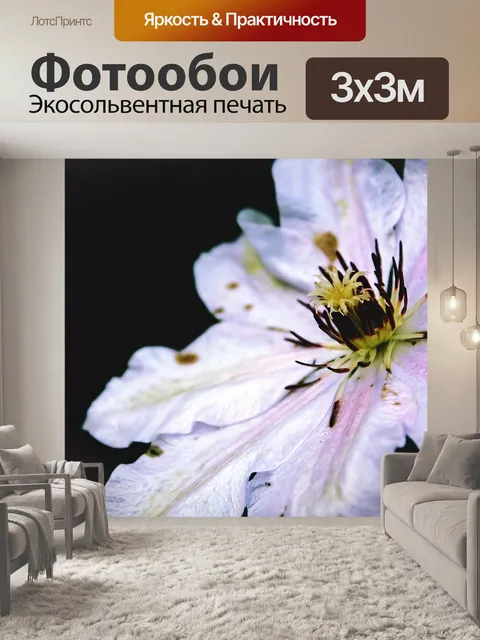 Фотообои Лили