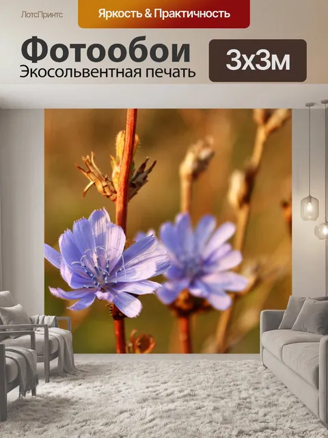 Фотообои Указал клюве аист
