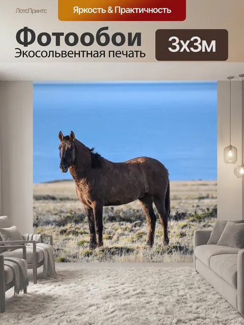 Фотообои Лошадь