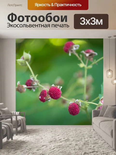 Фотообои Корица малина