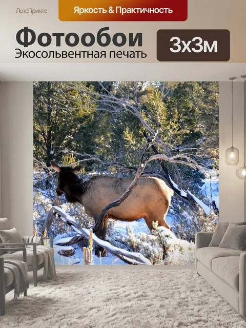 Фотообои Олени в снегу