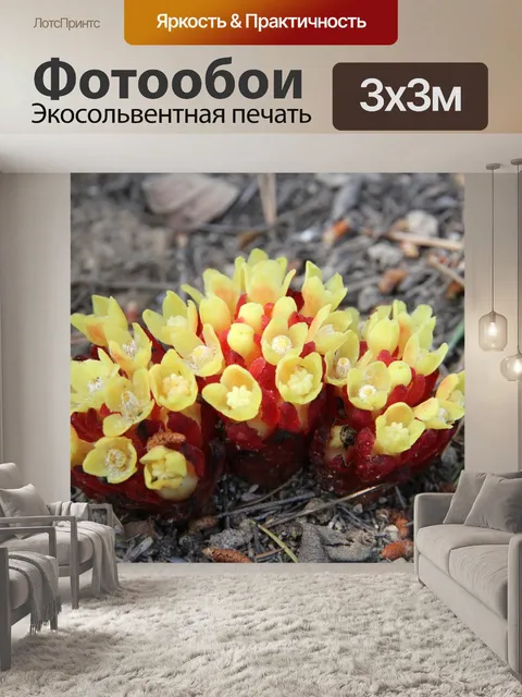 Фотообои Осень