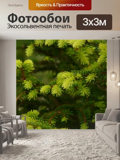 Фотообои Еловая ветка