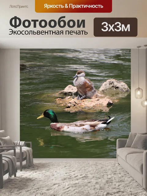 Фотообои Птицы