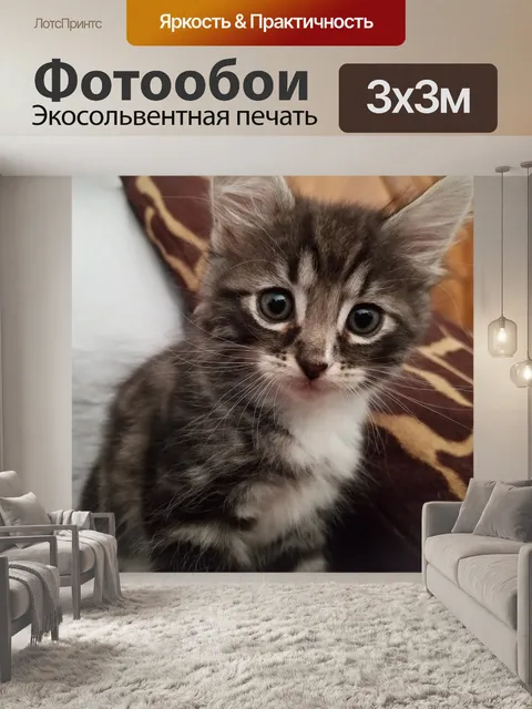 Фотообои Китти