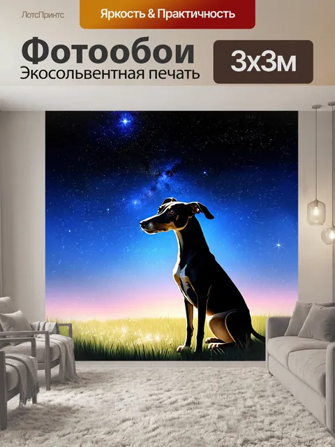 Фотообои борзая, с восхищением смотрящая на ночной небо, где звезды сверкают ярко и магически