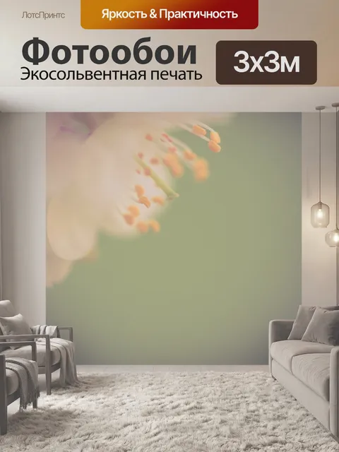 Фотообои белые вишневые цветы