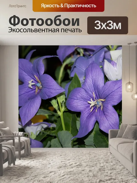 Фотообои Полоска