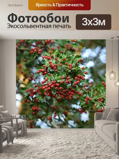 Фотообои Дерево