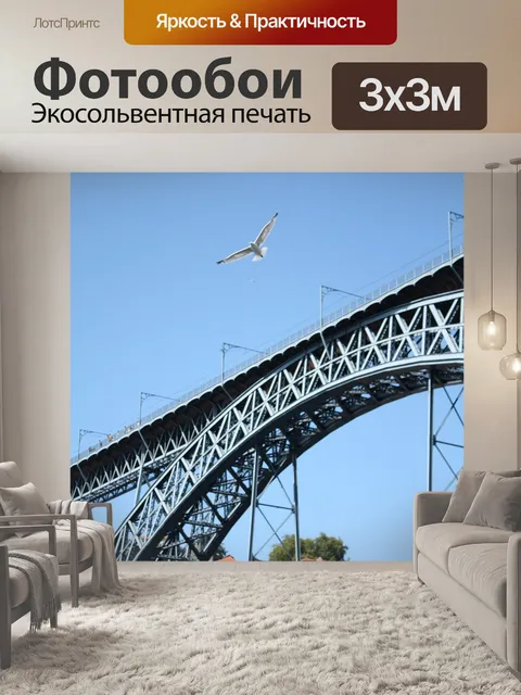 Фотообои Чайка