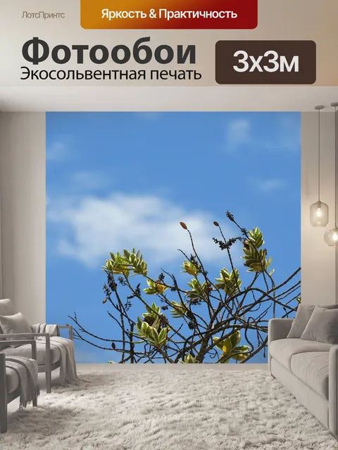 Фотообои Дорогой
