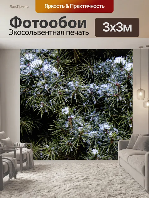 Фотообои Сугробов по Pine