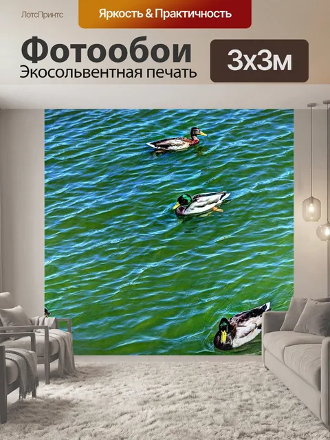 Фотообои Художественные плавательные утки