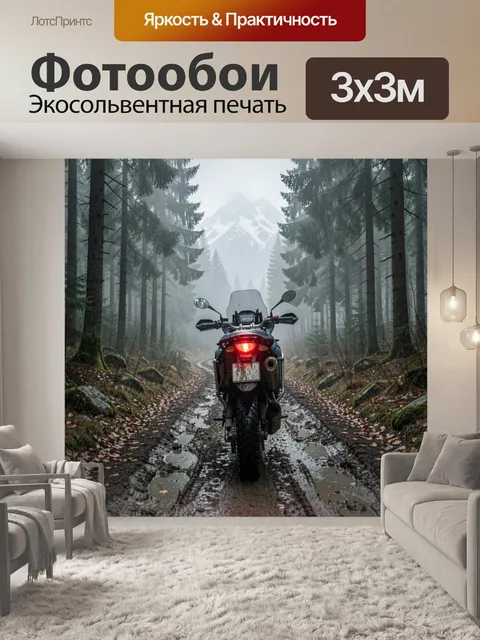 Фотообои Эндуро в туманном лесу