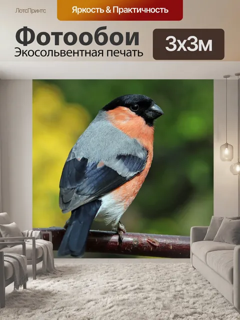Фотообои Снегирь