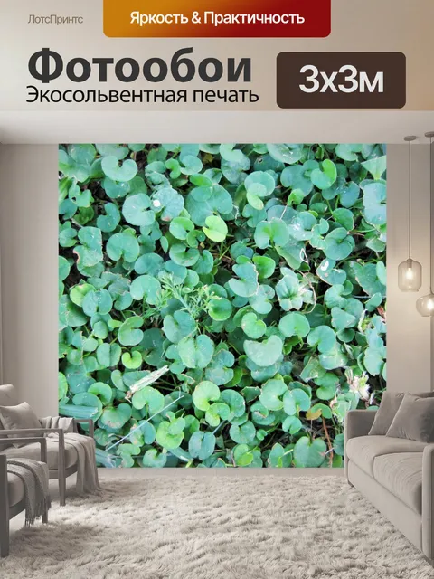 Фотообои удивительно, крышка газон