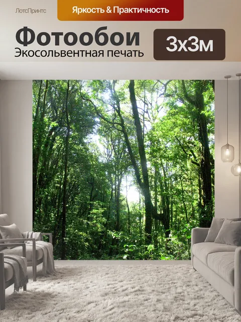 Фотообои Природа тропический лес дои Интанон наци