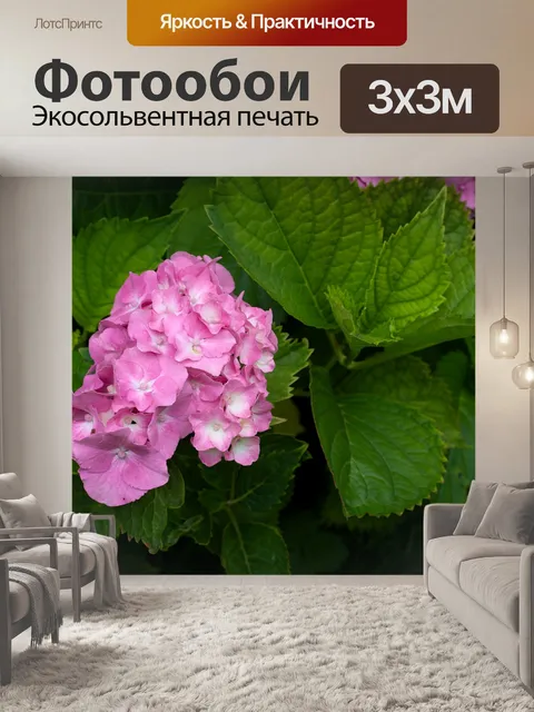 Фотообои Расцветает