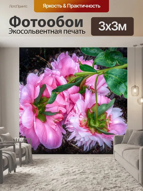 Фотообои Розовый пион