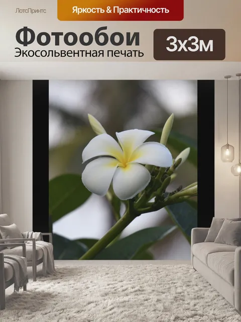 Фотообои Плакат Путешествия Гавайи Плюмерия