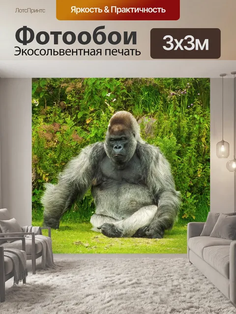 Фотообои Горилла