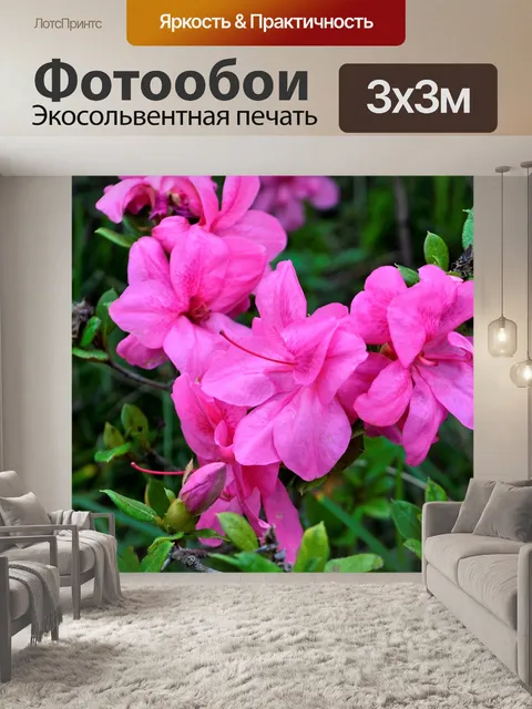 Фотообои Красивый цветок