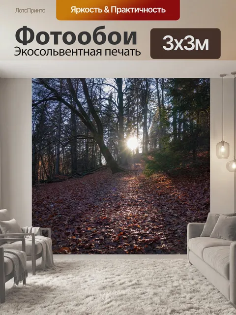Фотообои Падение
