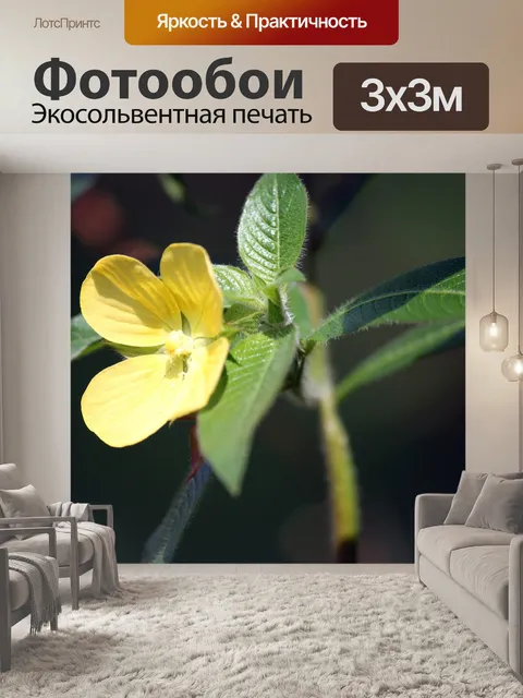 Фотообои Желтый цветок и зеленые отпуск