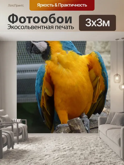 Фотообои Попугай