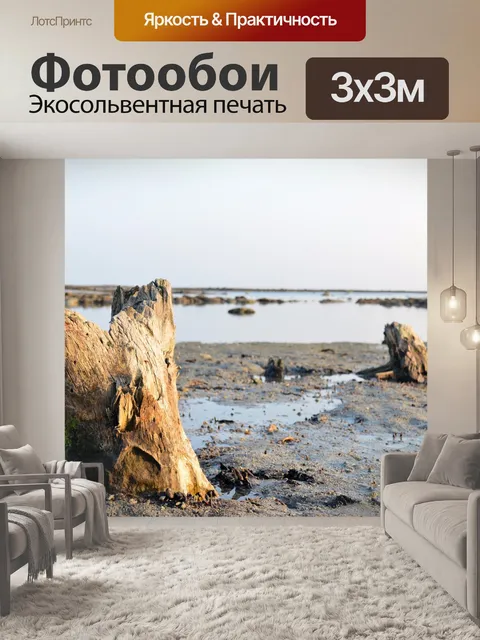 Фотообои Коралл