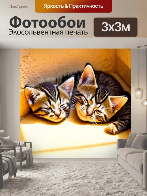 Фотообои котята, спящие в теплом солнечном углу, как ангелы