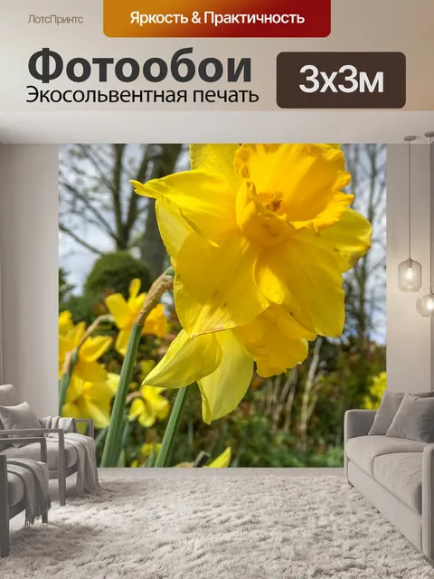 Фотообои Желтый нарцисс