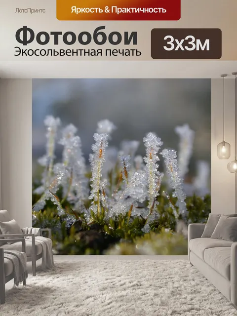 Фотообои Макро морозный мох