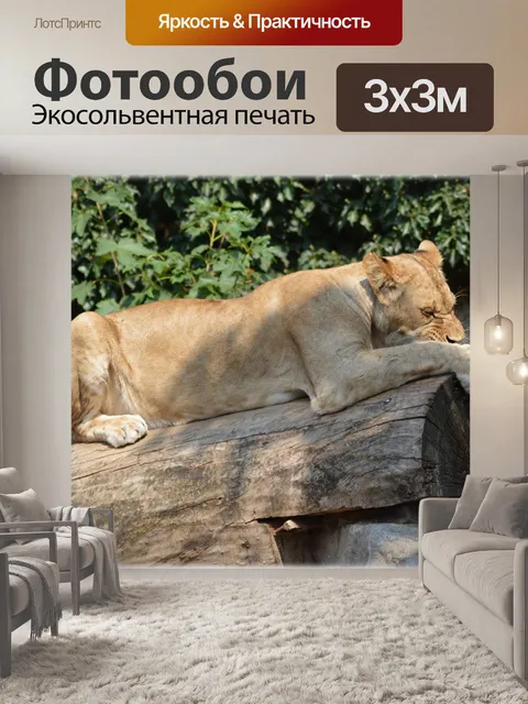 Фотообои Животное король 09