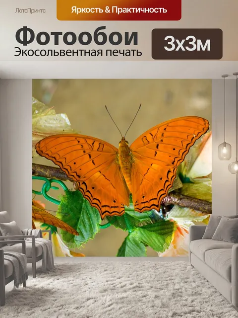 Фотообои Бабочка