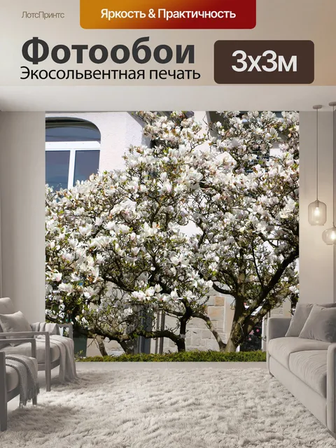 Фотообои Окно