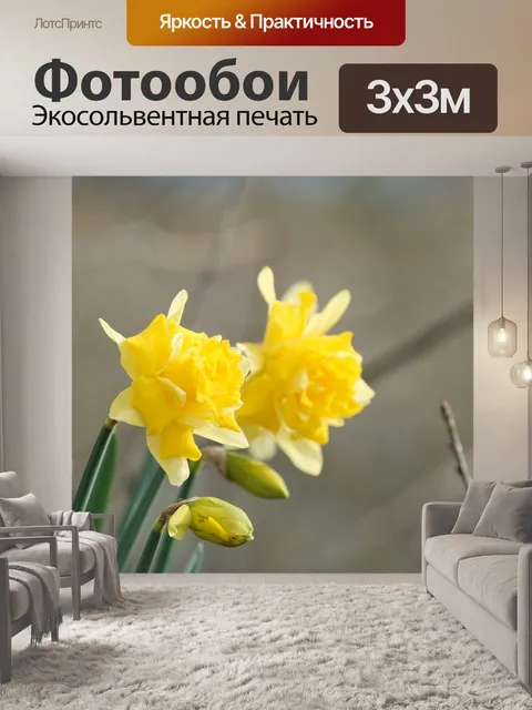 Фотообои Желтые нарциссы